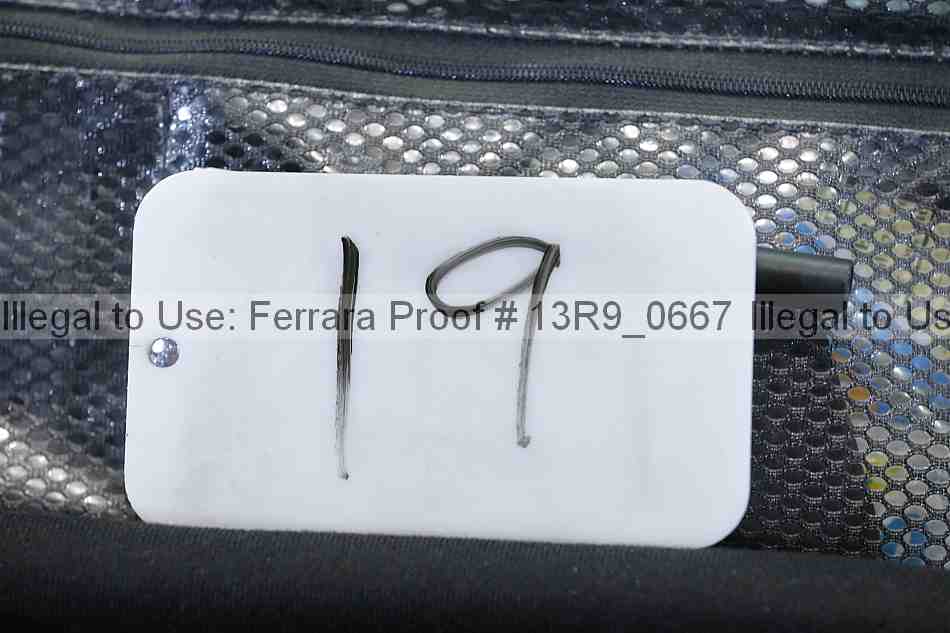 Proof 13r9_0667