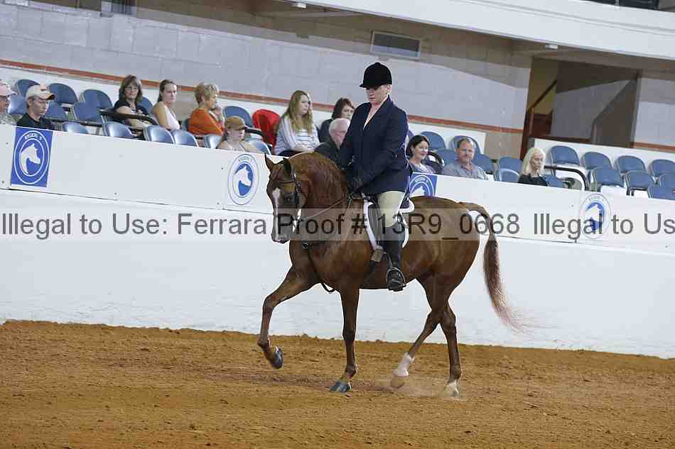 Proof 13r9_0668