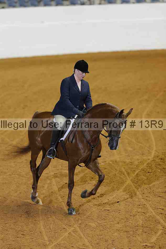 Proof 13r9_0669