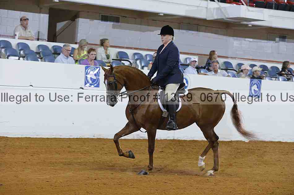 Proof 13r9_0670