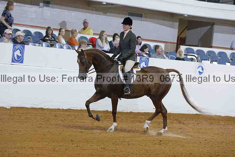 Proof 13r9_0673