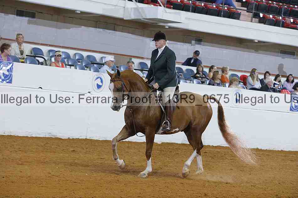 Proof 13r9_0675