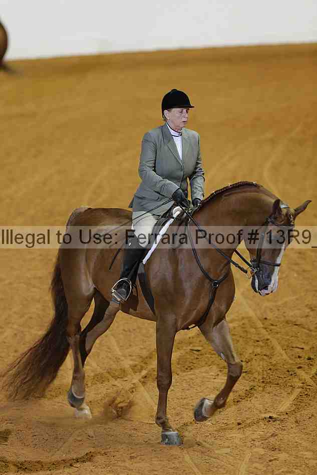 Proof 13r9_0677