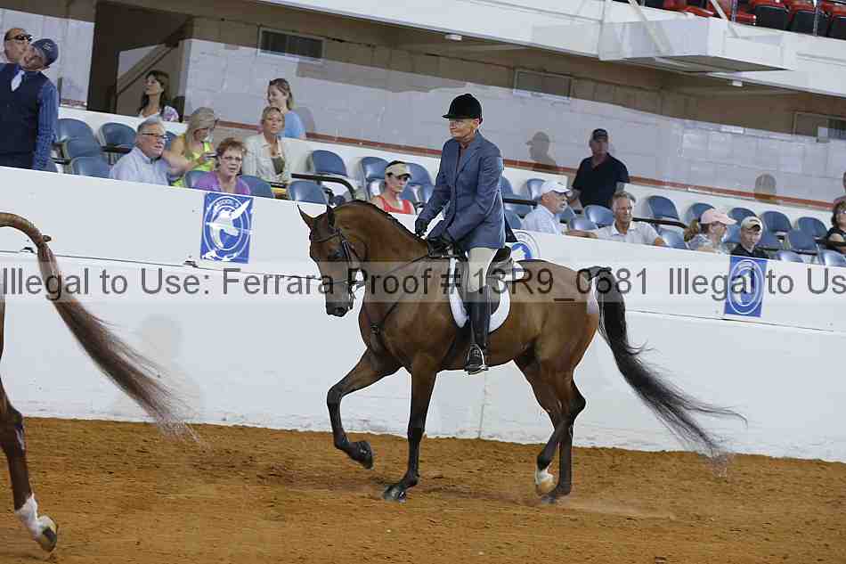 Proof 13r9_0681