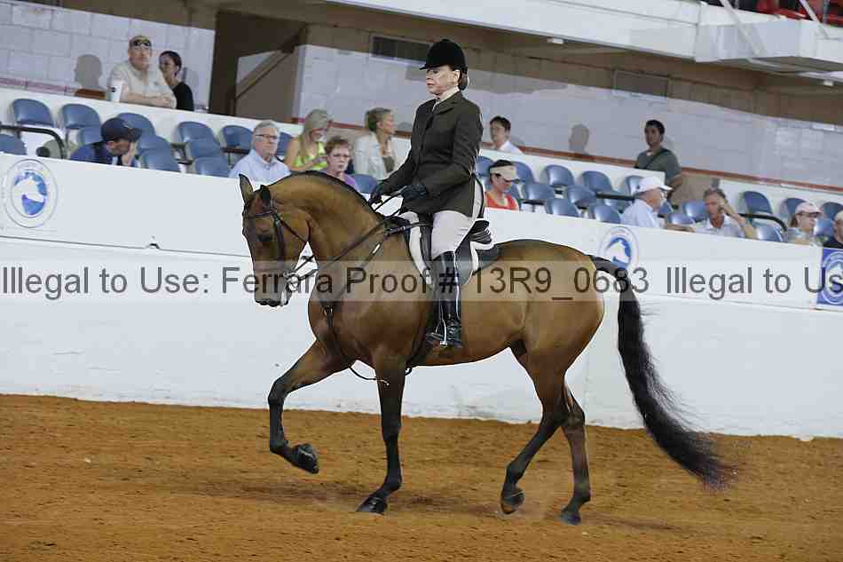 Proof 13r9_0683