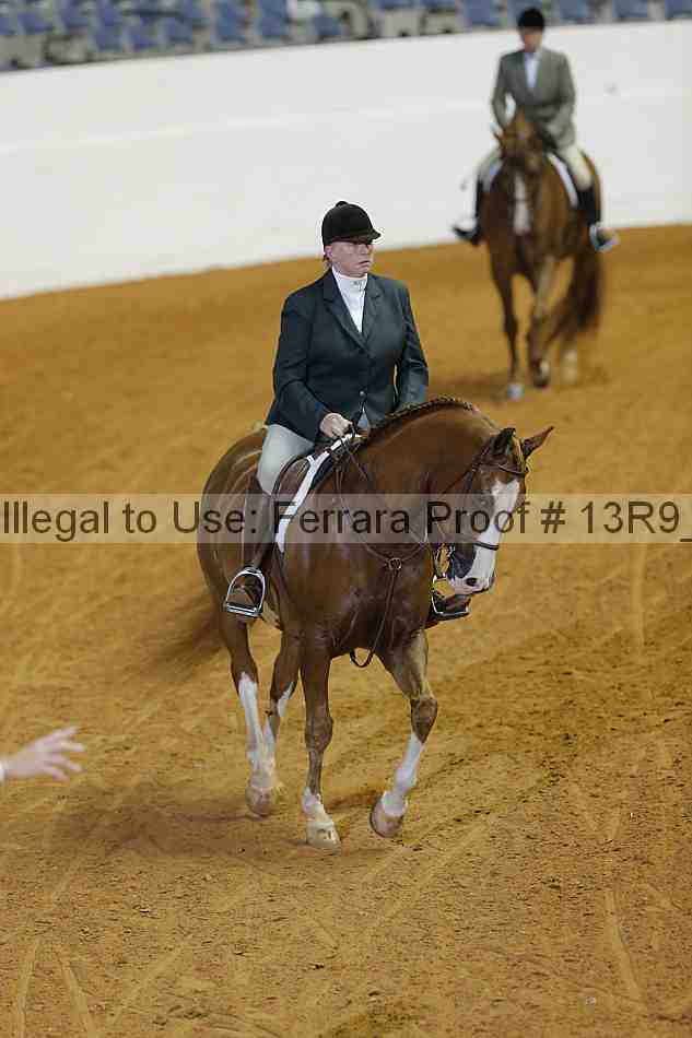 Proof 13r9_0684