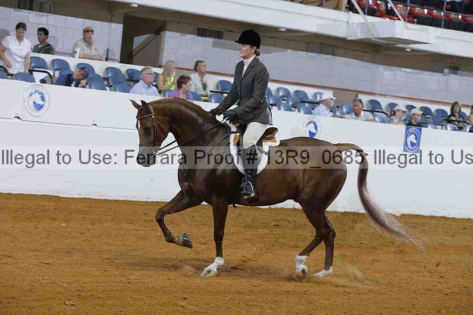 Proof 13r9_0685