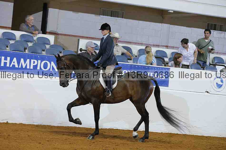 Proof 13r9_0686