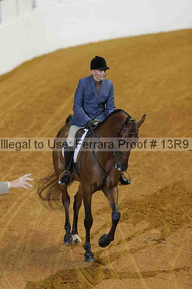 Proof 13r9_0687