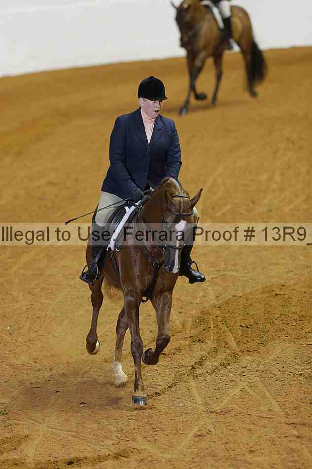 Proof 13r9_0690