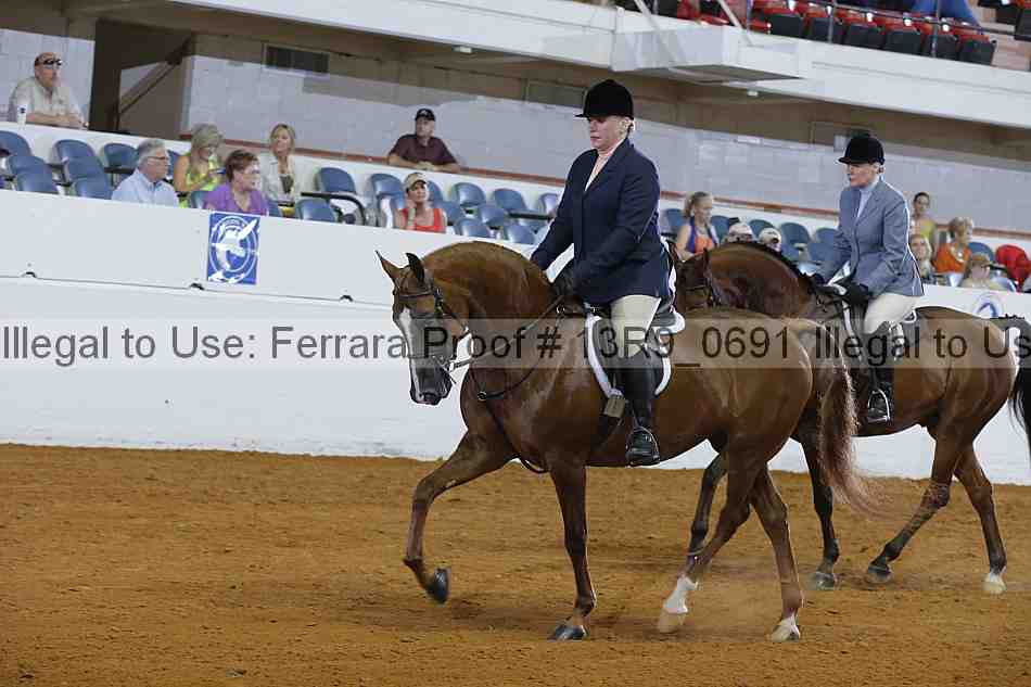 Proof 13r9_0691