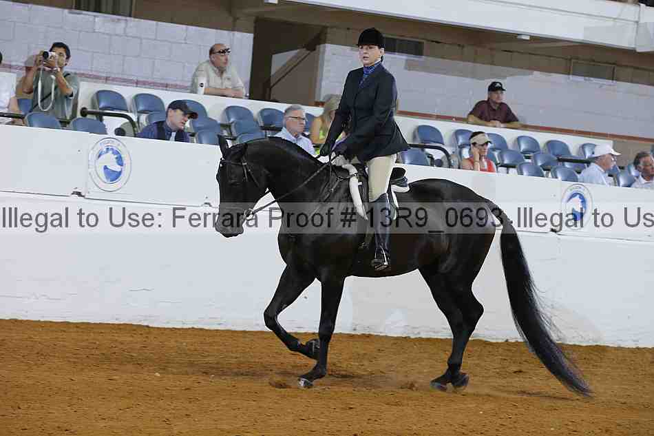 Proof 13r9_0693
