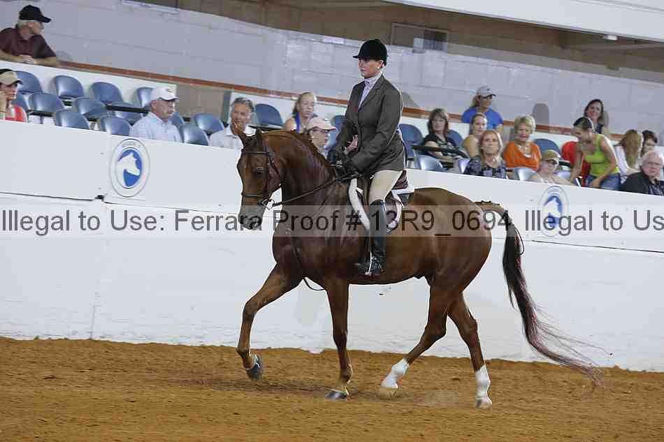 Proof 13r9_0694