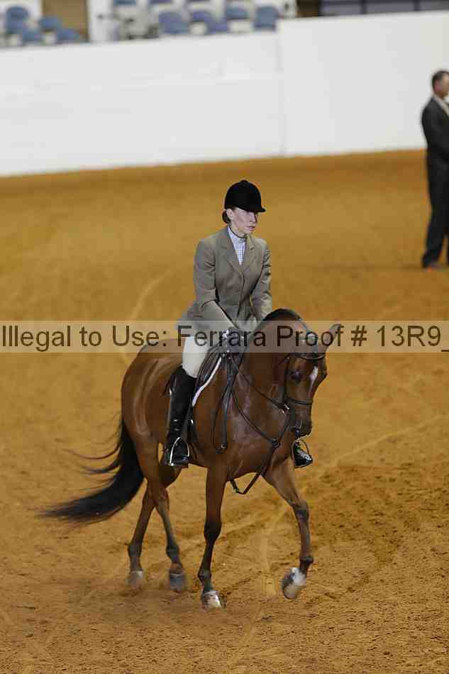 Proof 13r9_0695