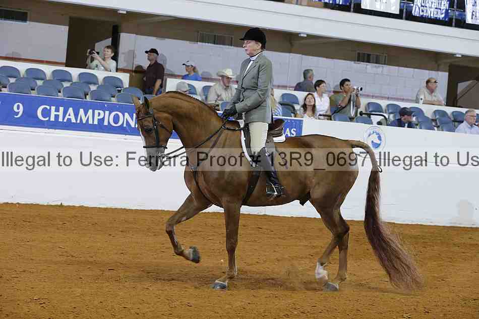 Proof 13r9_0697