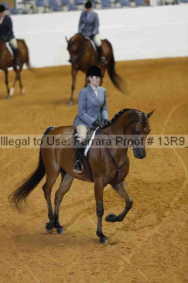 Proof 13r9_0698