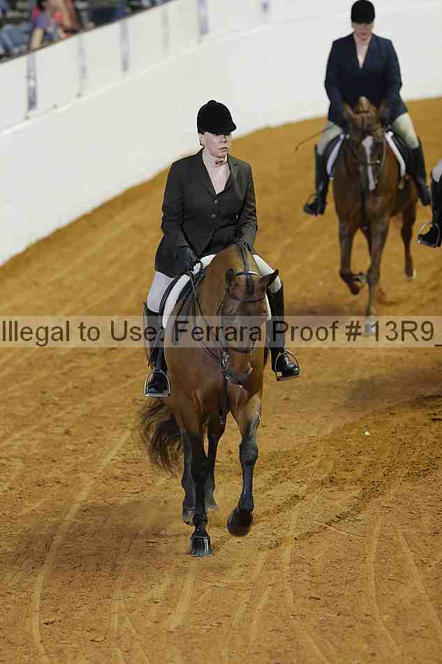 Proof 13r9_0699