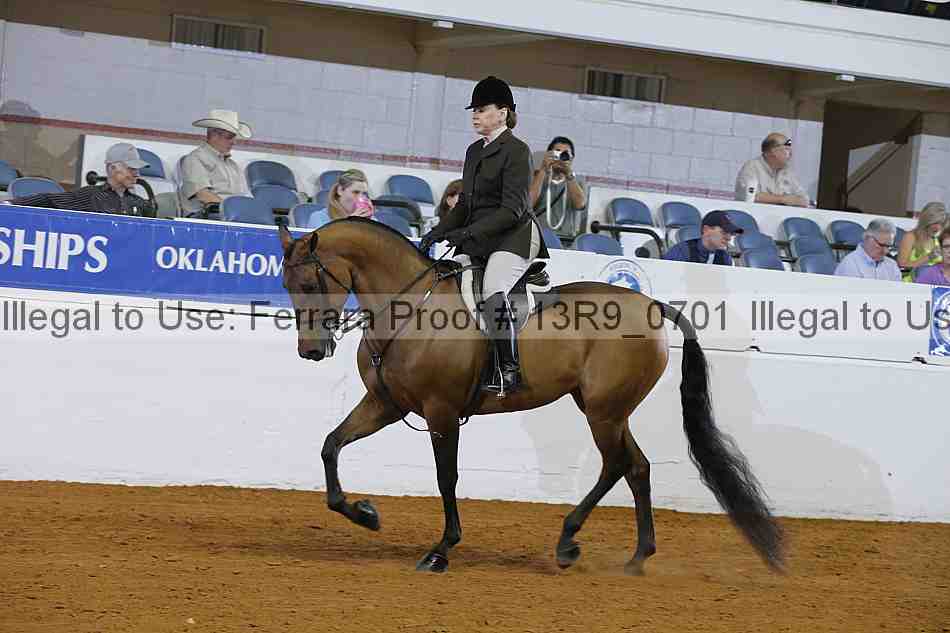 Proof 13r9_0701