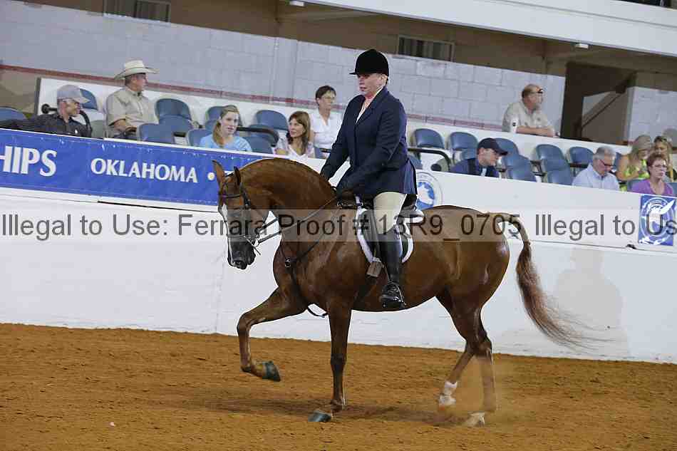 Proof 13r9_0705