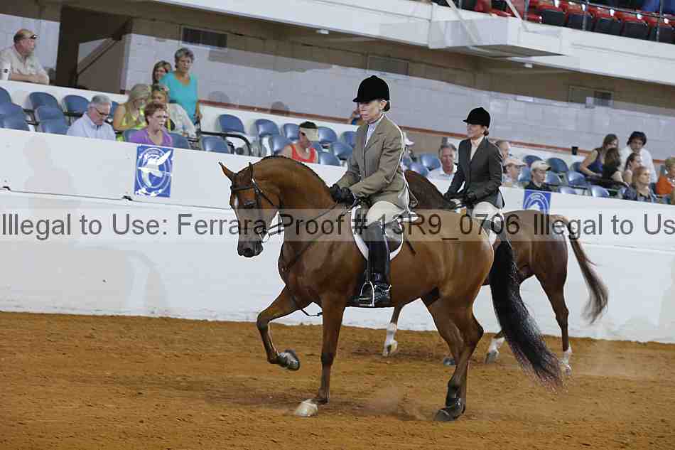 Proof 13r9_0706