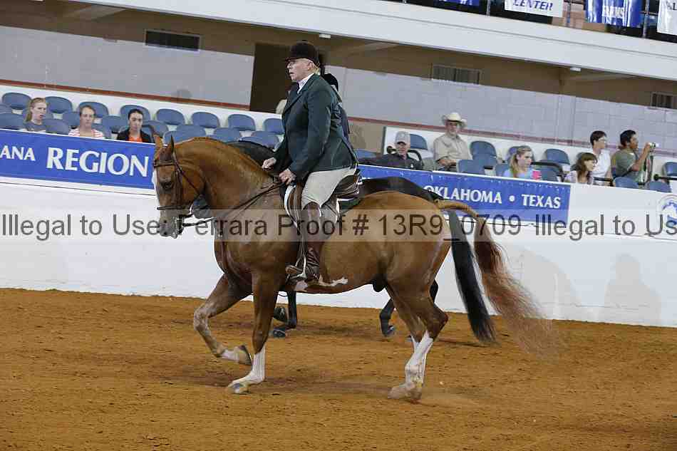 Proof 13r9_0709