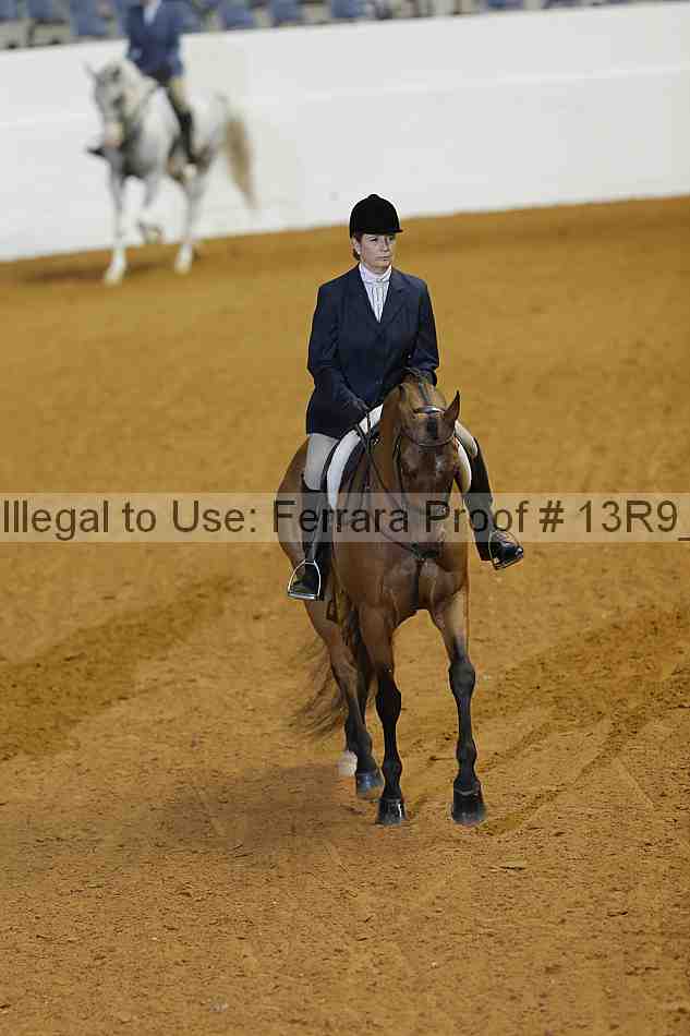 Proof 13r9_0711
