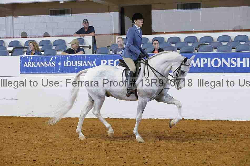 Proof 13r9_0718