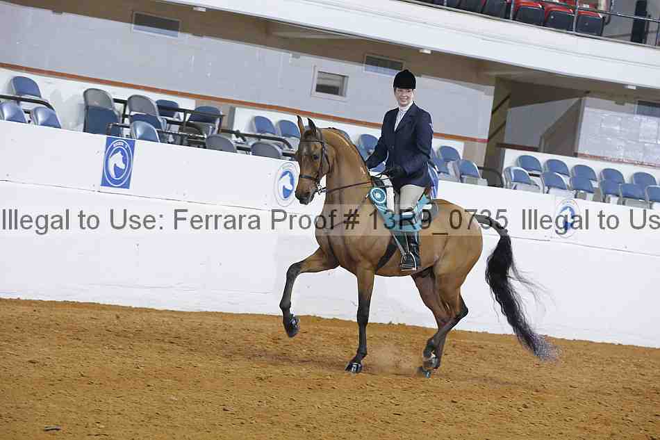 Proof 13r9_0735
