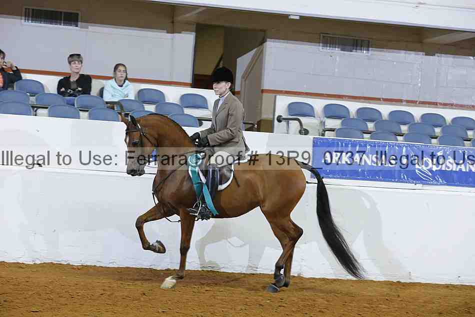 Proof 13r9_0737