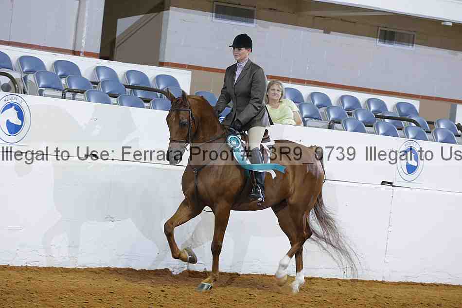 Proof 13r9_0739
