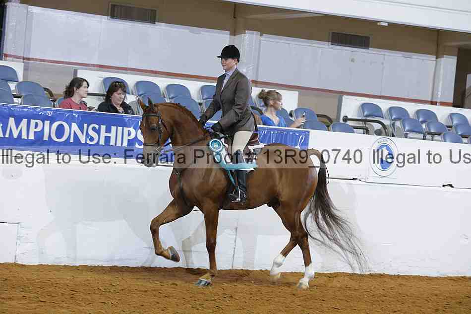 Proof 13r9_0740