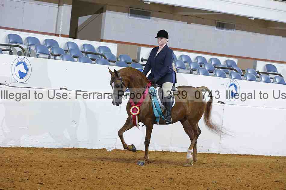 Proof 13r9_0743