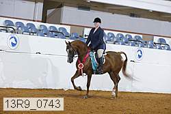 13r9_0743 proof