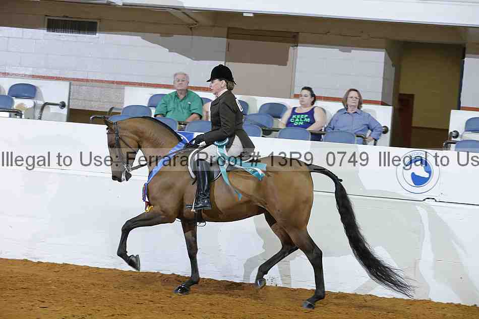 Proof 13r9_0749