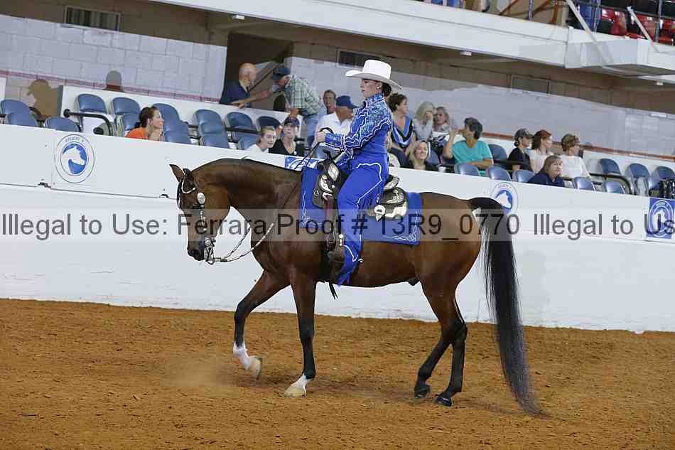 Proof 13r9_0770