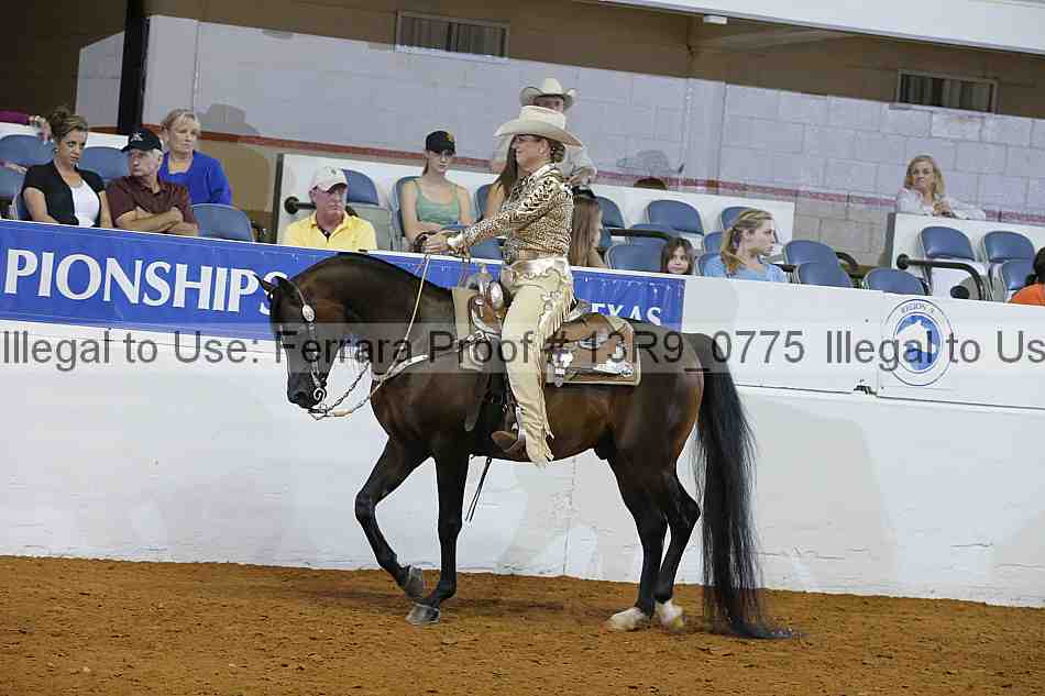 Proof 13r9_0775