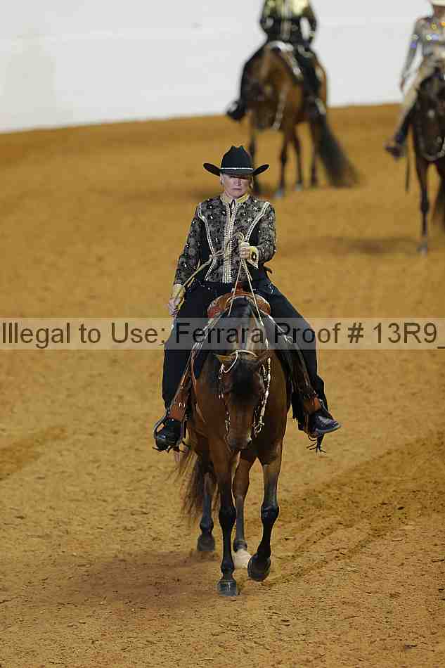 Proof 13r9_0788