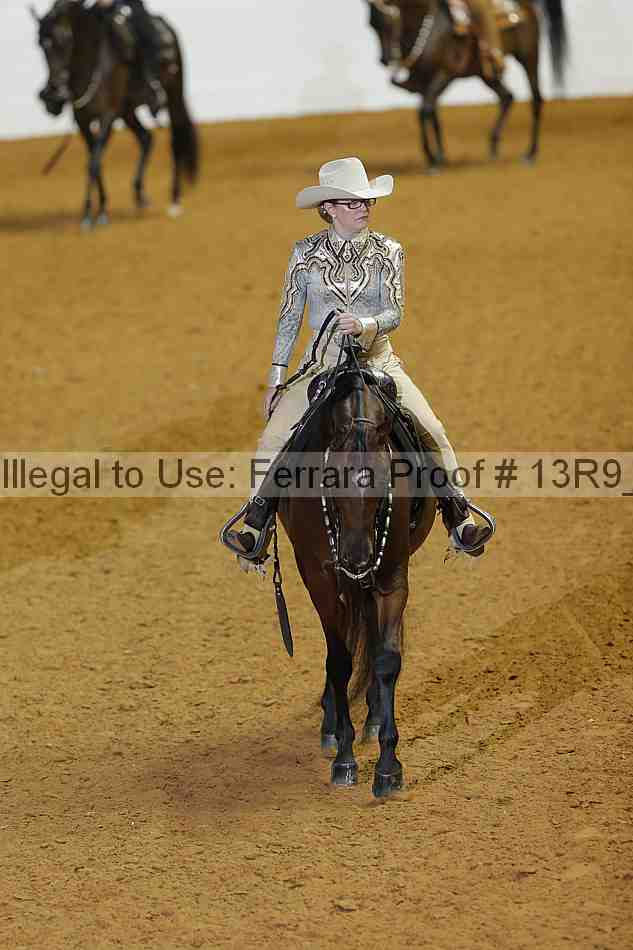 Proof 13r9_0790