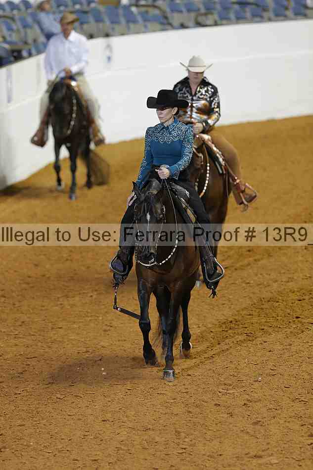 Proof 13r9_0794