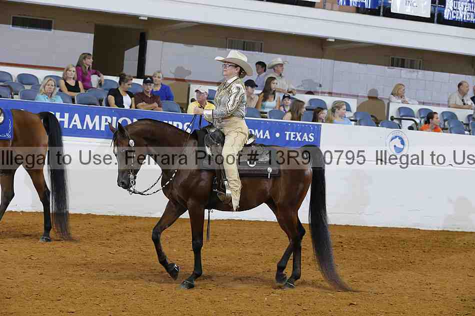 Proof 13r9_0795