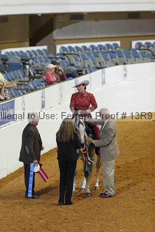 Proof 13r9_0799