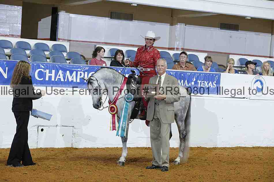 Proof 13r9_0801