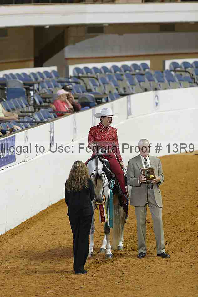 Proof 13r9_0804