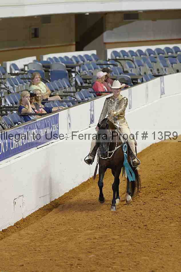 Proof 13r9_0813