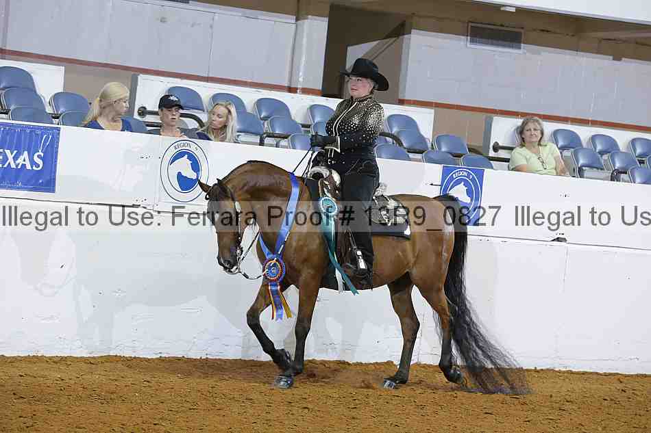 Proof 13r9_0827
