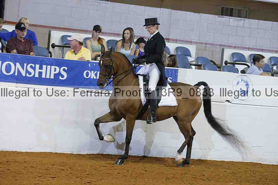 Proof 13r9_0833