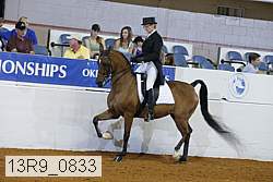 13r9_0833 proof