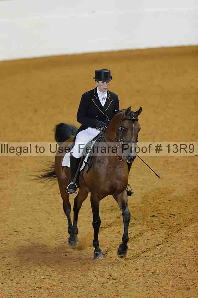 Proof 13r9_0838