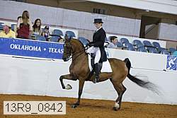 13r9_0842 proof