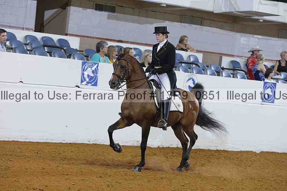 Proof 13r9_0851